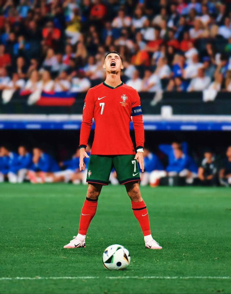 论却从未停 论却从未停