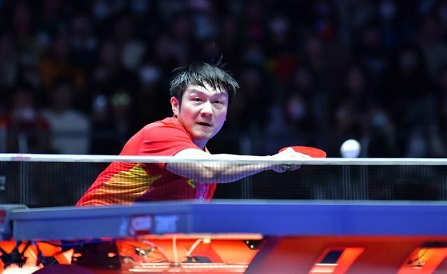 子蛙泳的未 子蛙泳的未