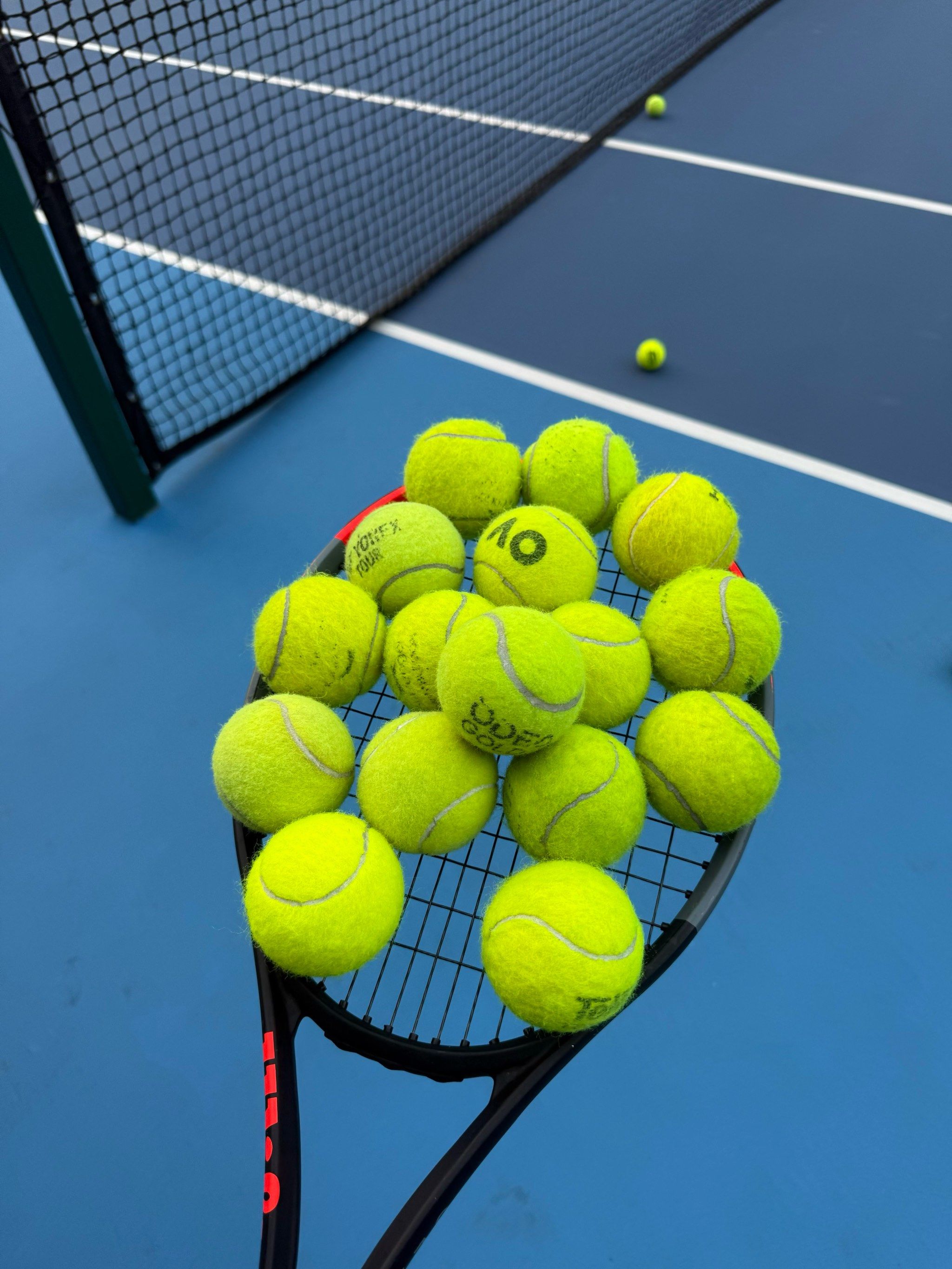 他们在欧洲 他们在欧洲